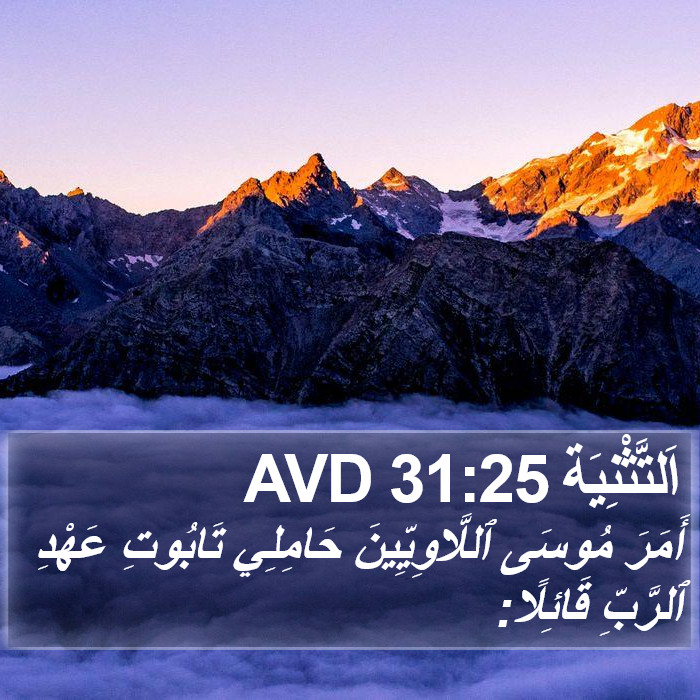 اَلتَّثْنِيَة 31:25 AVD Bible Study