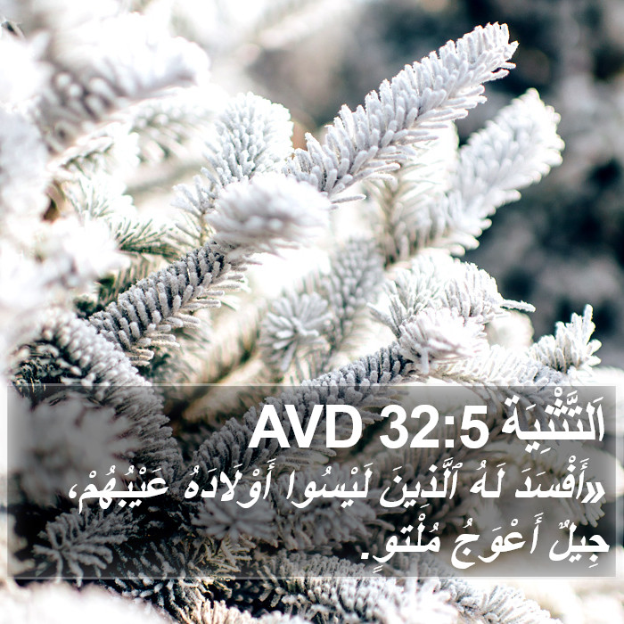 اَلتَّثْنِيَة 32:5 AVD Bible Study