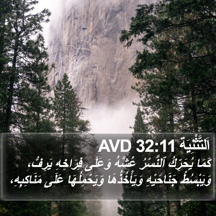 اَلتَّثْنِيَة 32:11 AVD Bible Study