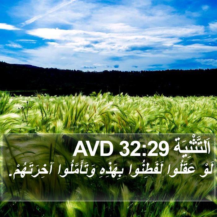 اَلتَّثْنِيَة 32:29 AVD Bible Study