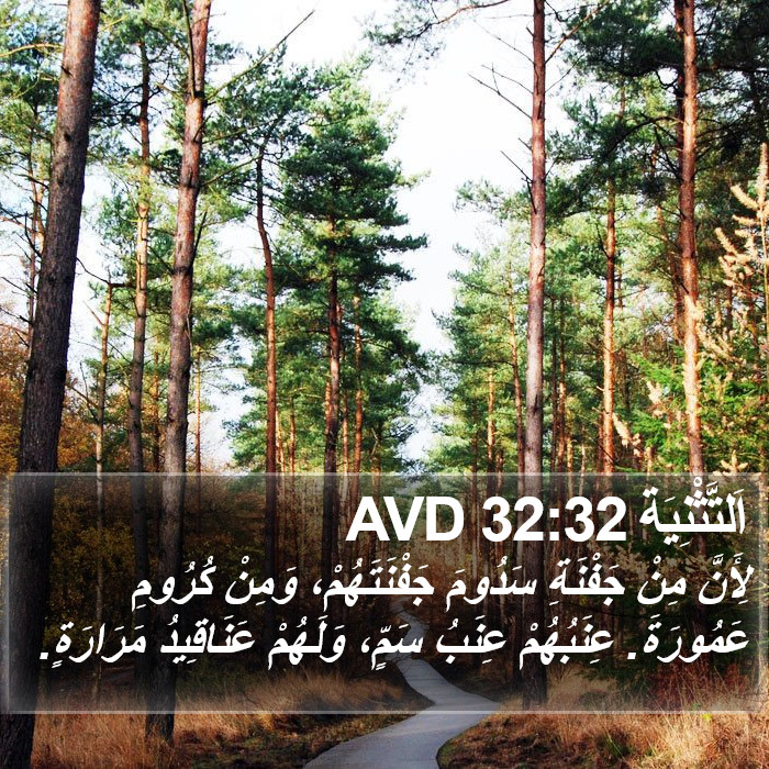 اَلتَّثْنِيَة 32:32 AVD Bible Study