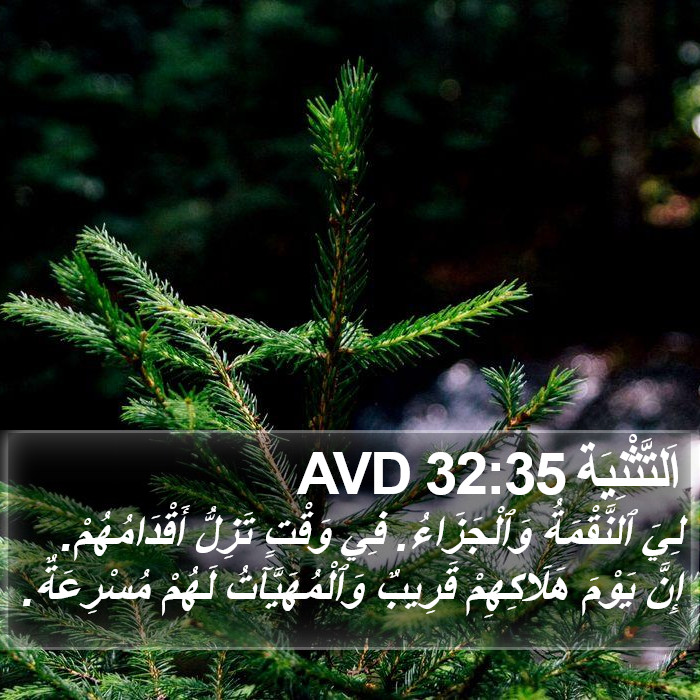 اَلتَّثْنِيَة 32:35 AVD Bible Study