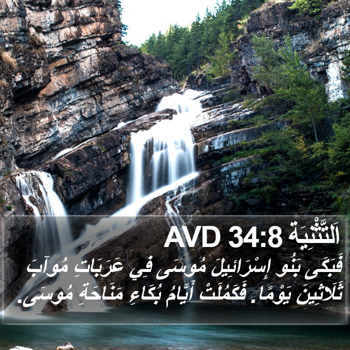 اَلتَّثْنِيَة 34:8 AVD Bible Study