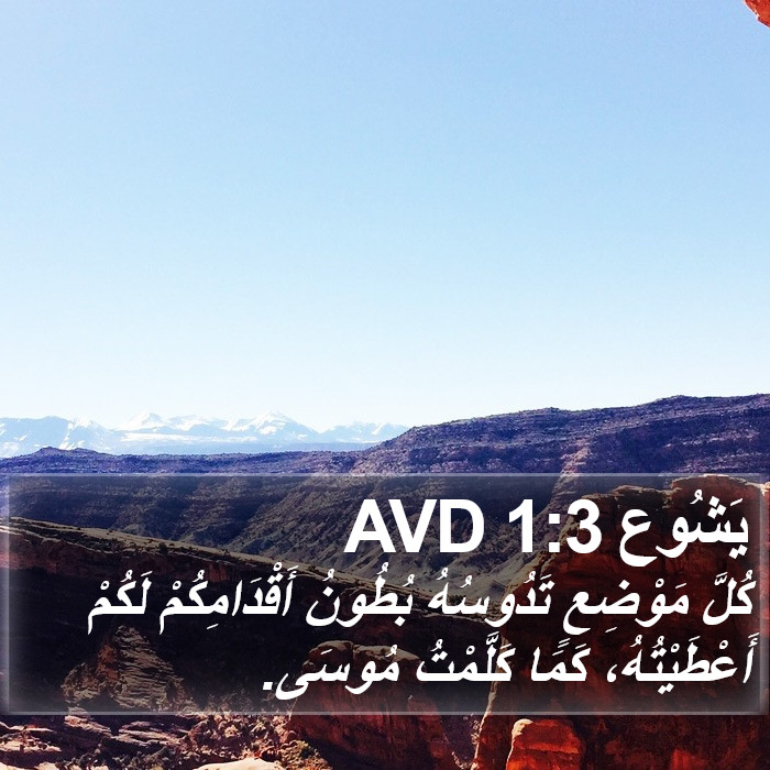 يَشُوع 1:3 AVD Bible Study