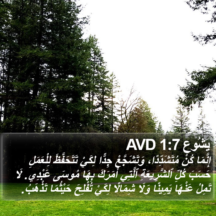 يَشُوع 1:7 AVD Bible Study