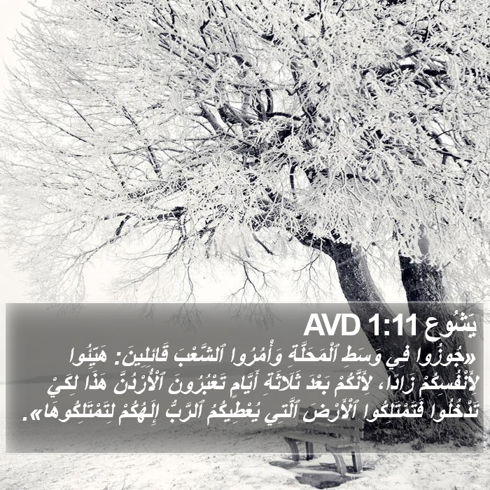 يَشُوع 1:11 AVD Bible Study