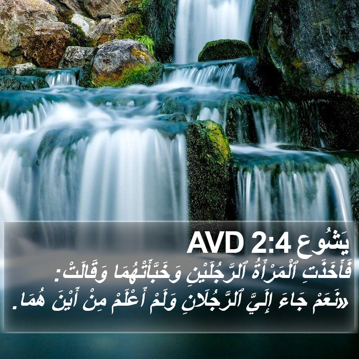 يَشُوع 2:4 AVD Bible Study