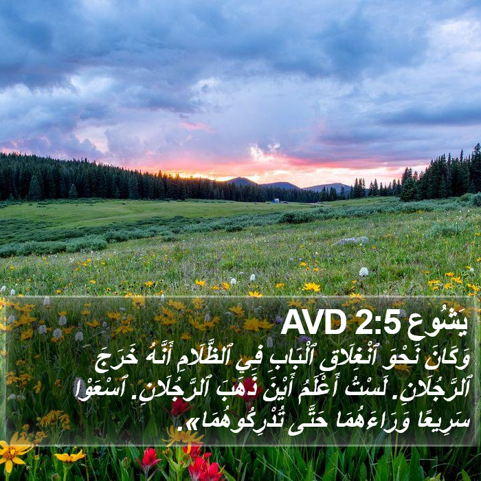 يَشُوع 2:5 AVD Bible Study