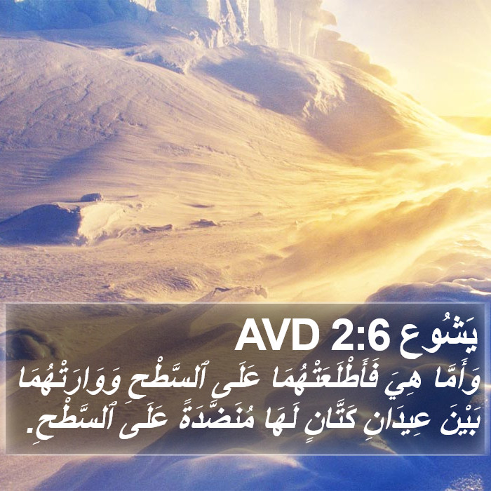 يَشُوع 2:6 AVD Bible Study