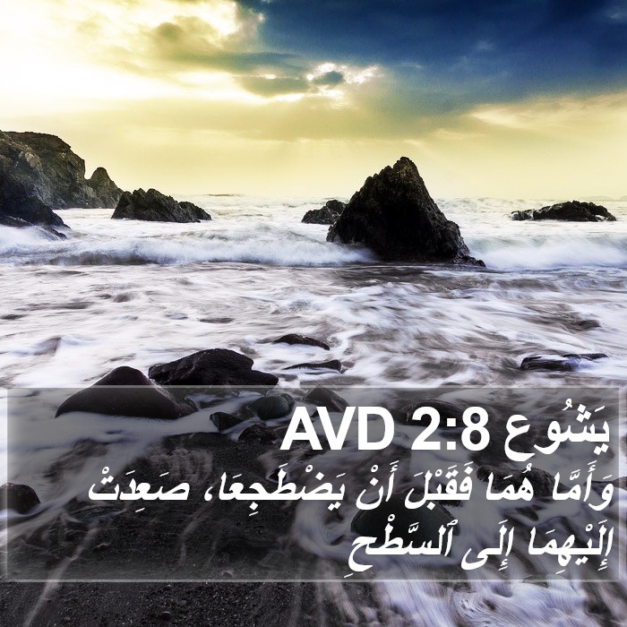 يَشُوع 2:8 AVD Bible Study