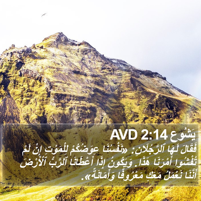 يَشُوع 2:14 AVD Bible Study