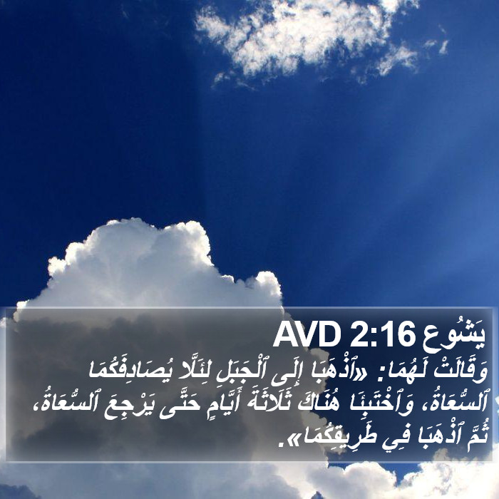 يَشُوع 2:16 AVD Bible Study