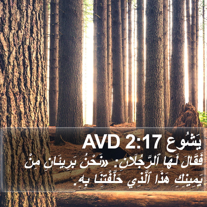 يَشُوع 2:17 AVD Bible Study