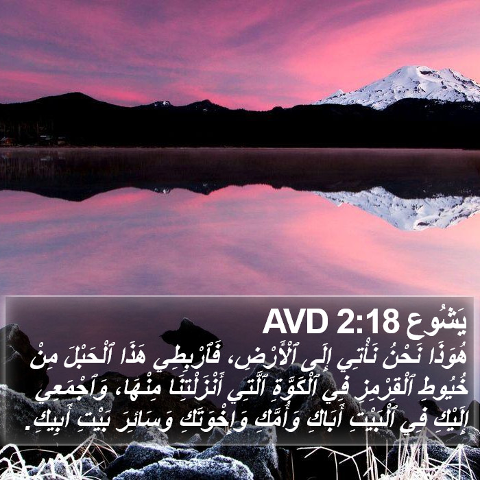 يَشُوع 2:18 AVD Bible Study