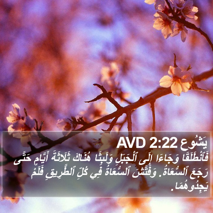 يَشُوع 2:22 AVD Bible Study