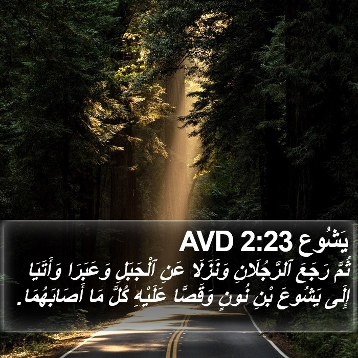 يَشُوع 2:23 AVD Bible Study