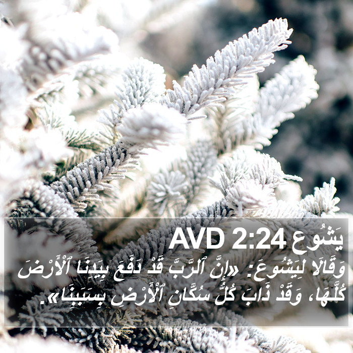 يَشُوع 2:24 AVD Bible Study