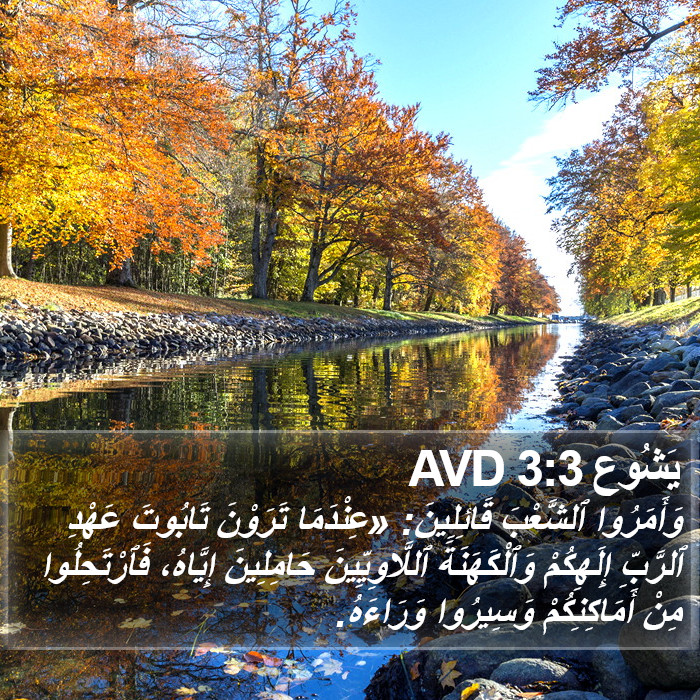 يَشُوع 3:3 AVD Bible Study