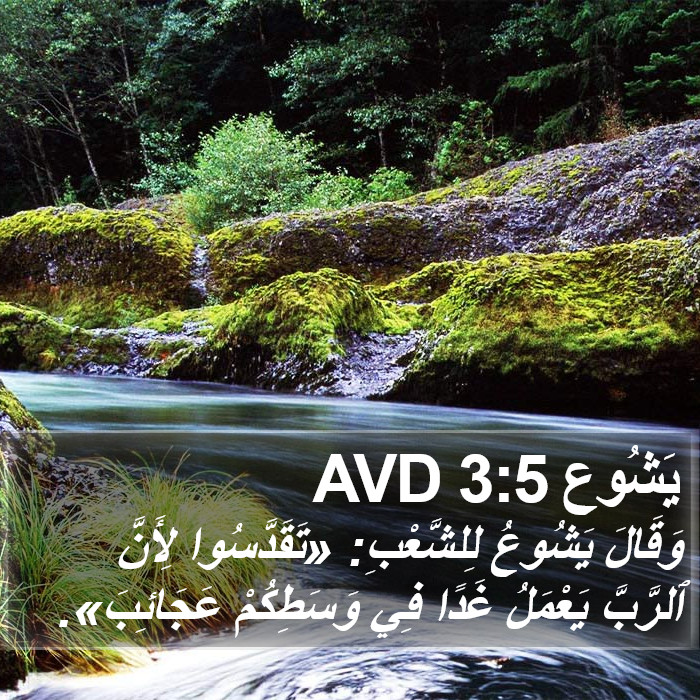 يَشُوع 3:5 AVD Bible Study