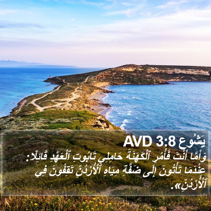 يَشُوع 3:8 AVD Bible Study