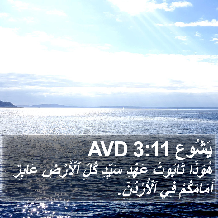 يَشُوع 3:11 AVD Bible Study