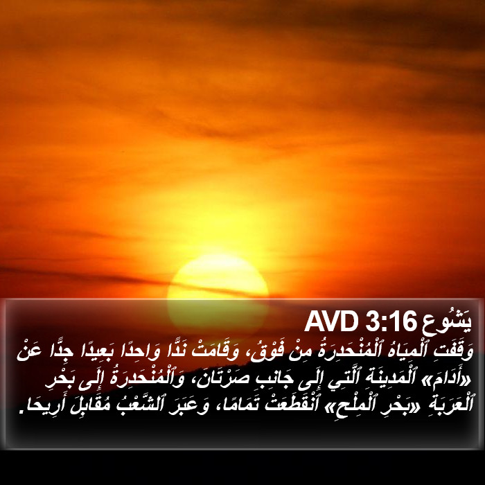 يَشُوع 3:16 AVD Bible Study