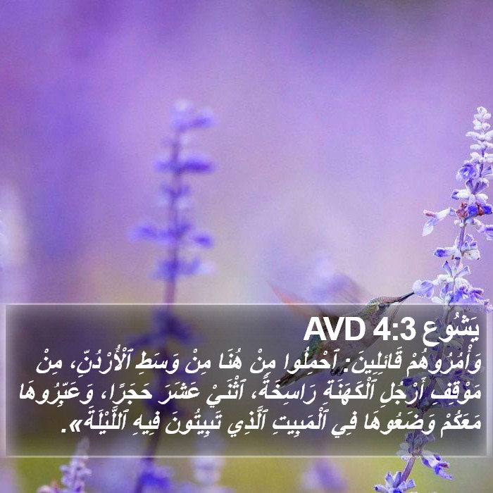 يَشُوع 4:3 AVD Bible Study