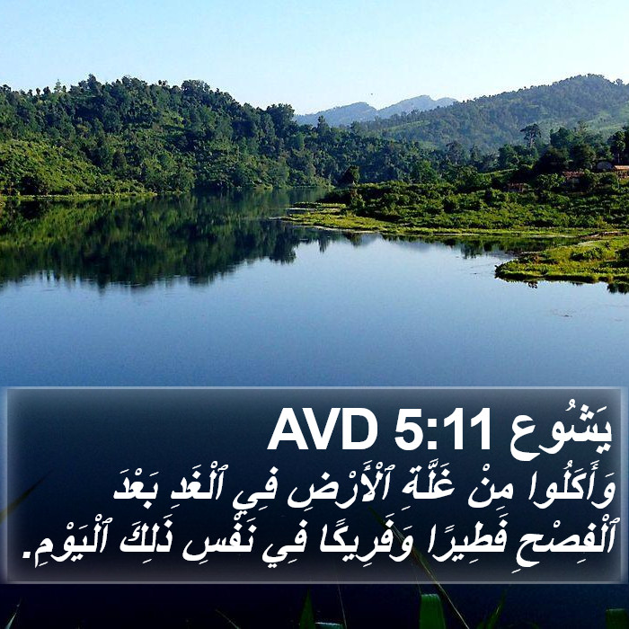 يَشُوع 5:11 AVD Bible Study