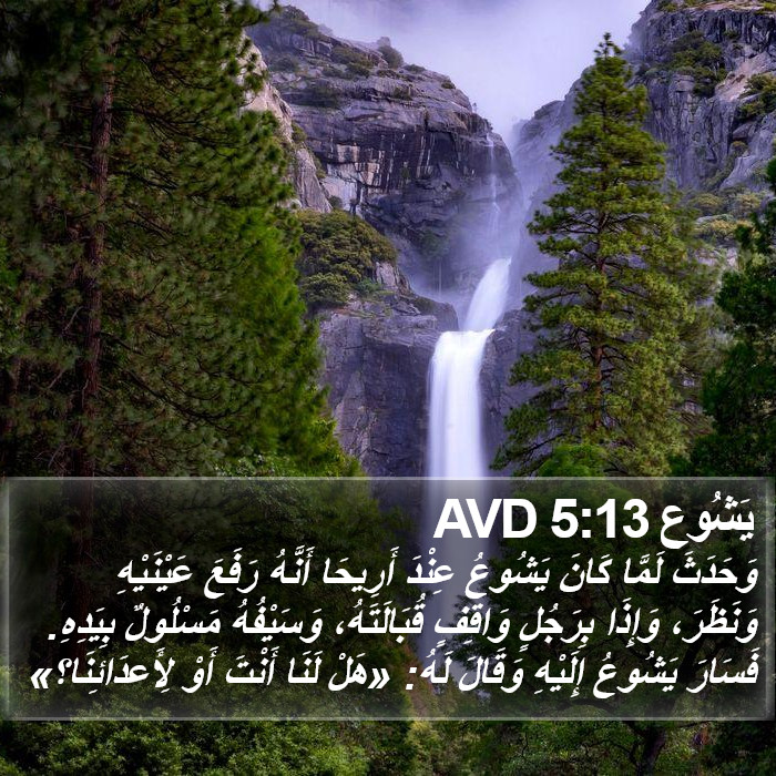 يَشُوع 5:13 AVD Bible Study