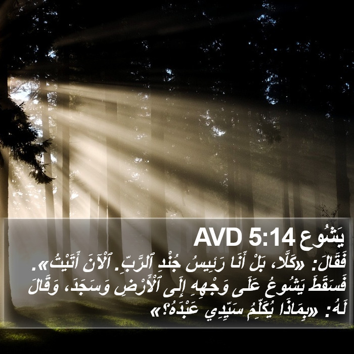 يَشُوع 5:14 AVD Bible Study