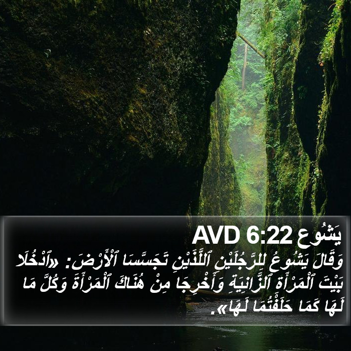 يَشُوع 6:22 AVD Bible Study