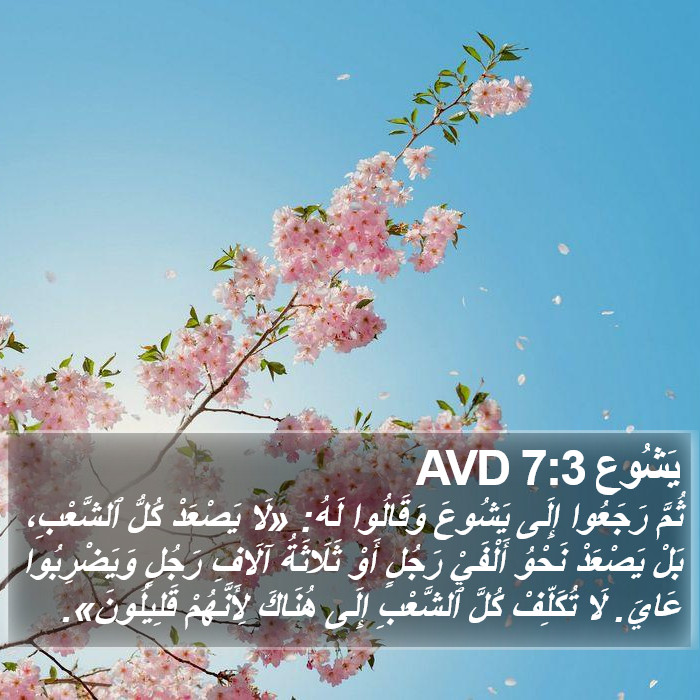 يَشُوع 7:3 AVD Bible Study