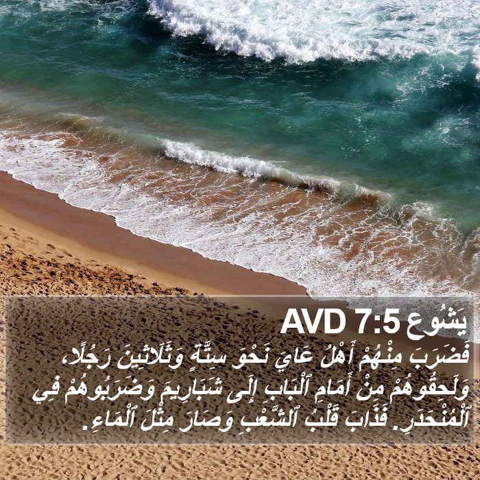 يَشُوع 7:5 AVD Bible Study