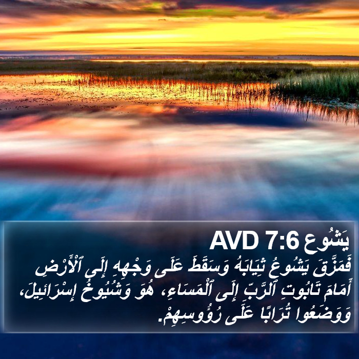 يَشُوع 7:6 AVD Bible Study