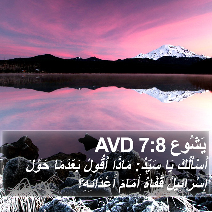 يَشُوع 7:8 AVD Bible Study