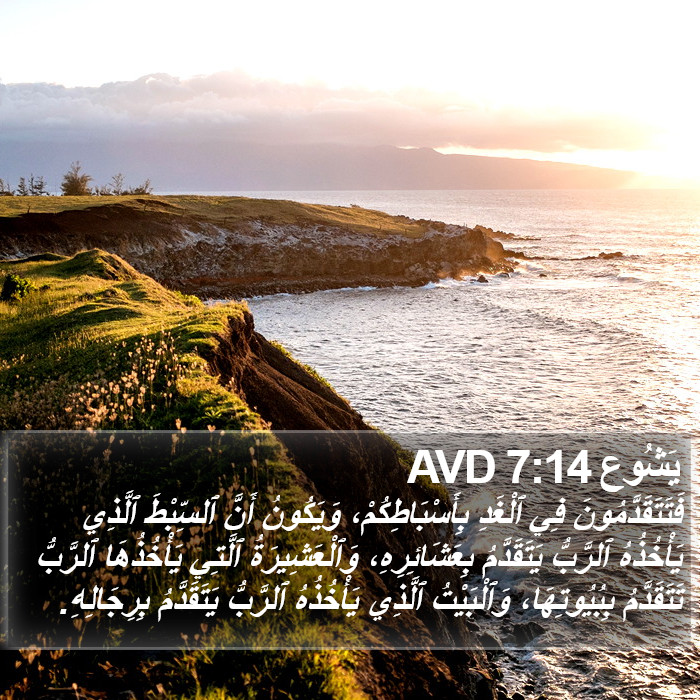 يَشُوع 7:14 AVD Bible Study