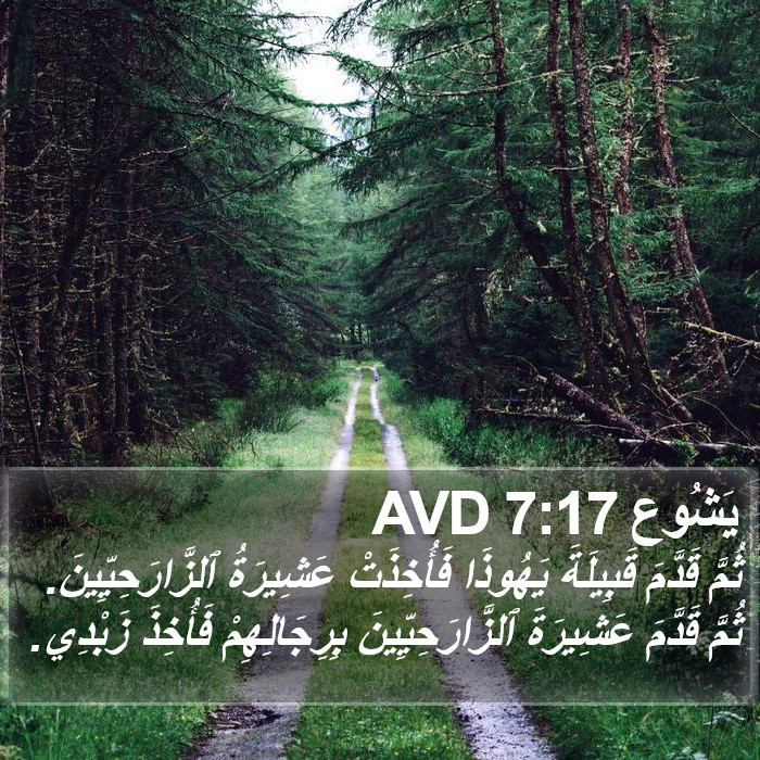 يَشُوع 7:17 AVD Bible Study