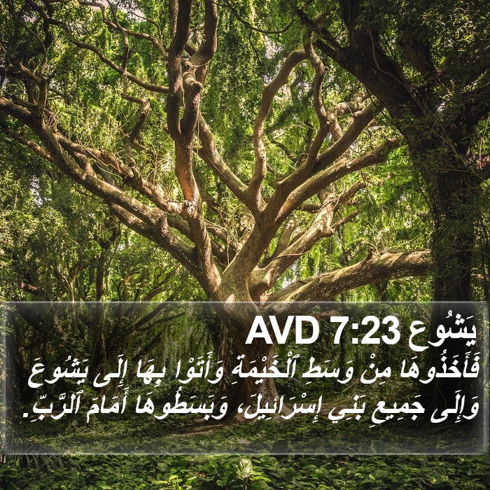 يَشُوع 7:23 AVD Bible Study