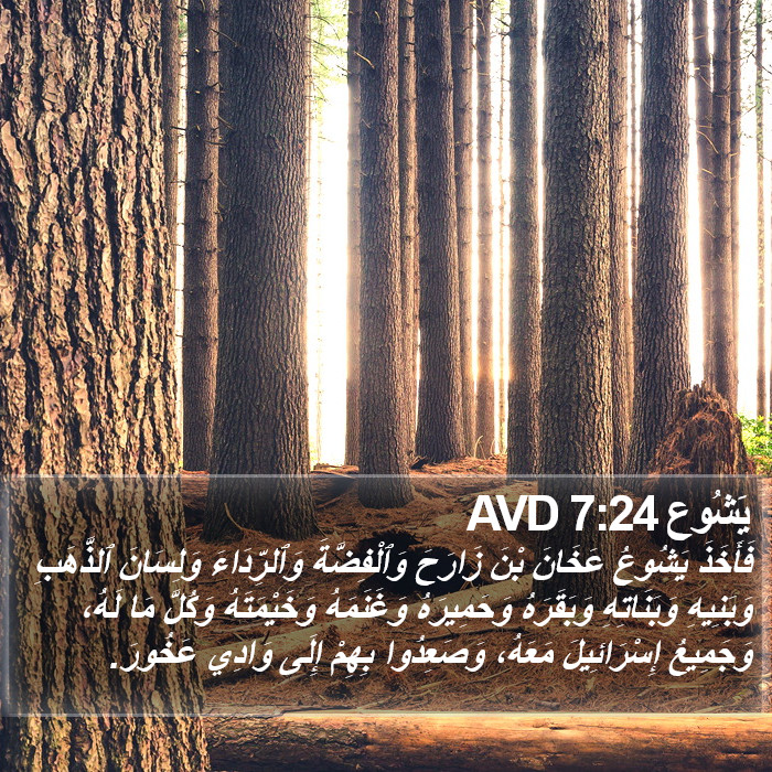 يَشُوع 7:24 AVD Bible Study