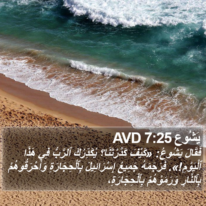 يَشُوع 7:25 AVD Bible Study