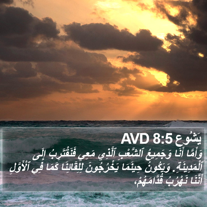 يَشُوع 8:5 AVD Bible Study