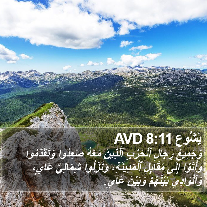 يَشُوع 8:11 AVD Bible Study