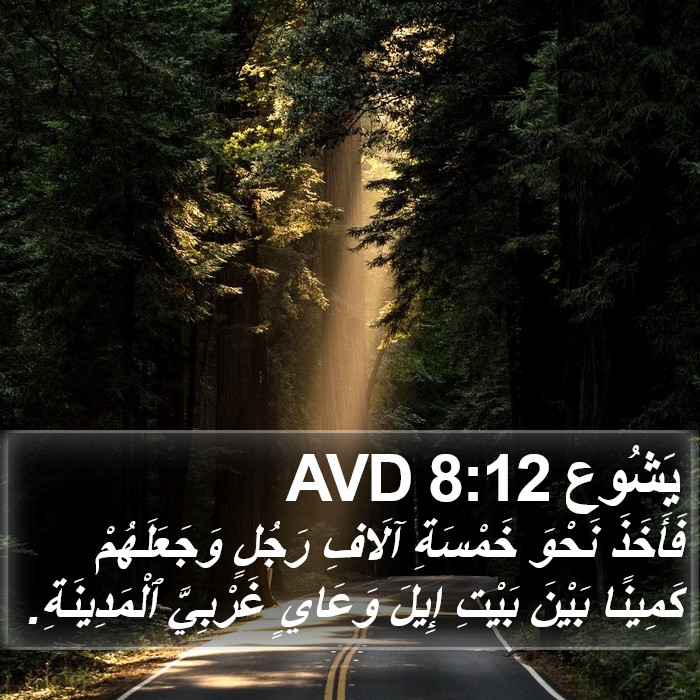 يَشُوع 8:12 AVD Bible Study