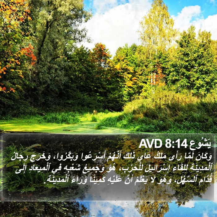 يَشُوع 8:14 AVD Bible Study