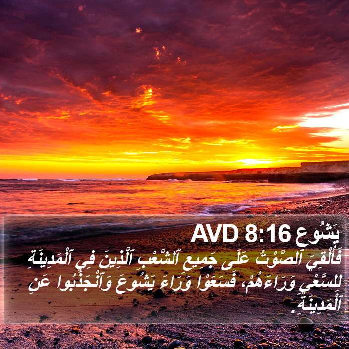 يَشُوع 8:16 AVD Bible Study