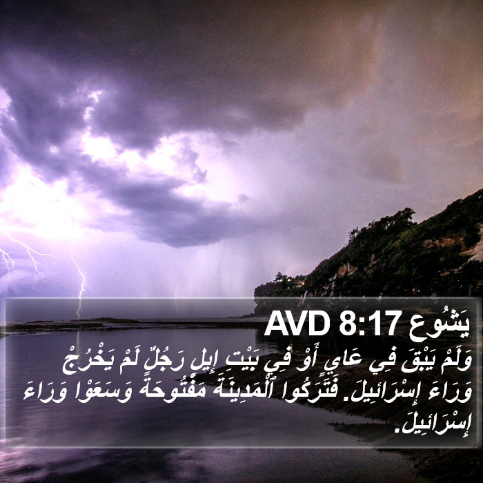 يَشُوع 8:17 AVD Bible Study