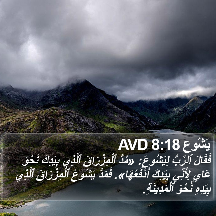 يَشُوع 8:18 AVD Bible Study