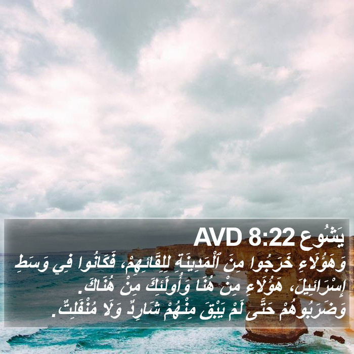 يَشُوع 8:22 AVD Bible Study