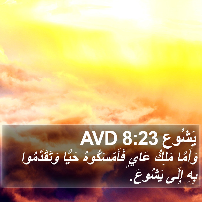 يَشُوع 8:23 AVD Bible Study