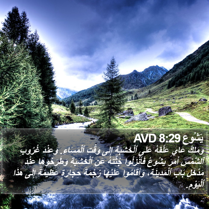 يَشُوع 8:29 AVD Bible Study